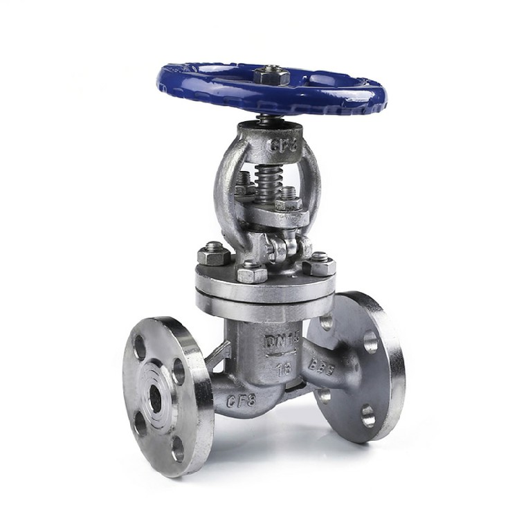 Flanged globe valve